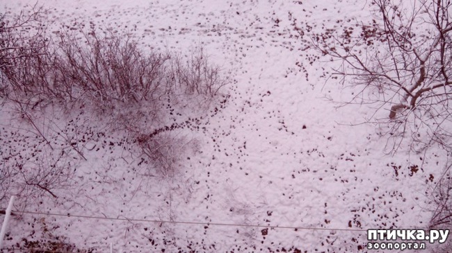 ���� 4: ������ �� �����