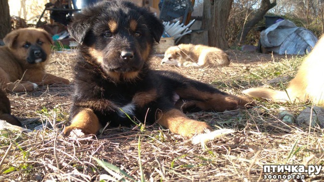 ���� 2: �����������