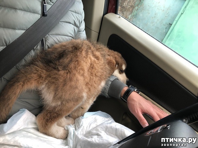 ���� 3: �����������