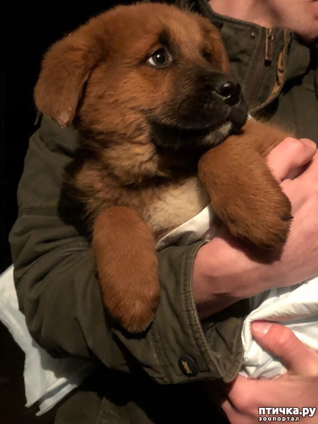 ���� 6: �����������