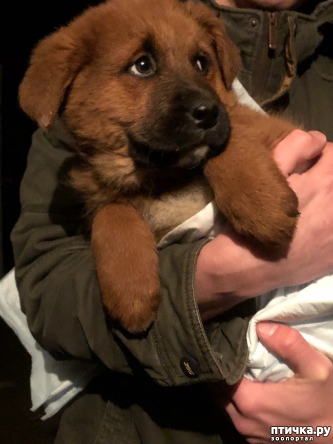 ���� 7: �����������