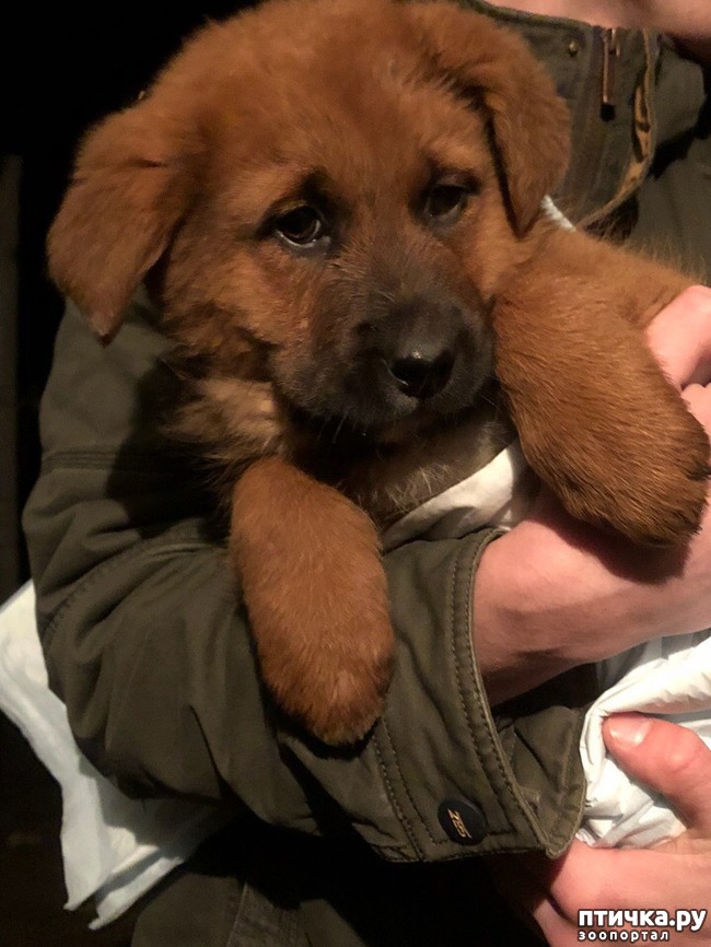 ���� 8: �����������