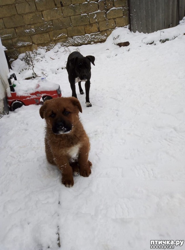 ���� 9: �����������