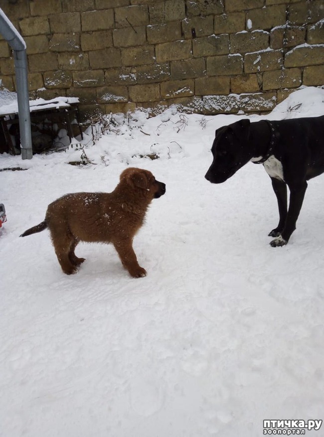 ���� 10: �����������