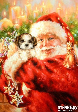 ����: � ������ ������� �� ������ ��� ��...