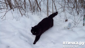 ����: ����� ������ �����