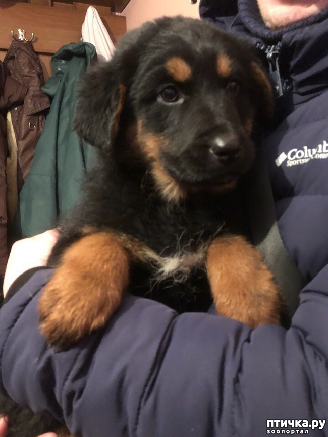 ���� 1: ������� ����