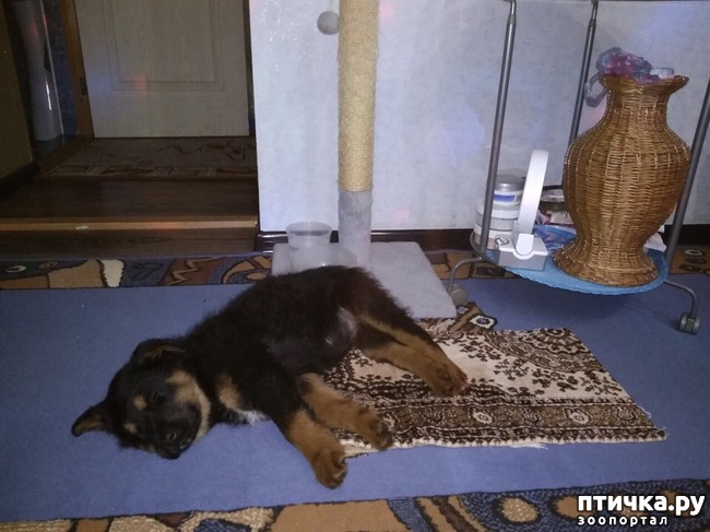 ���� 2: ������� ����