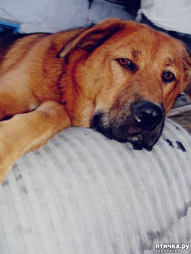 ���� 3: ������� ����