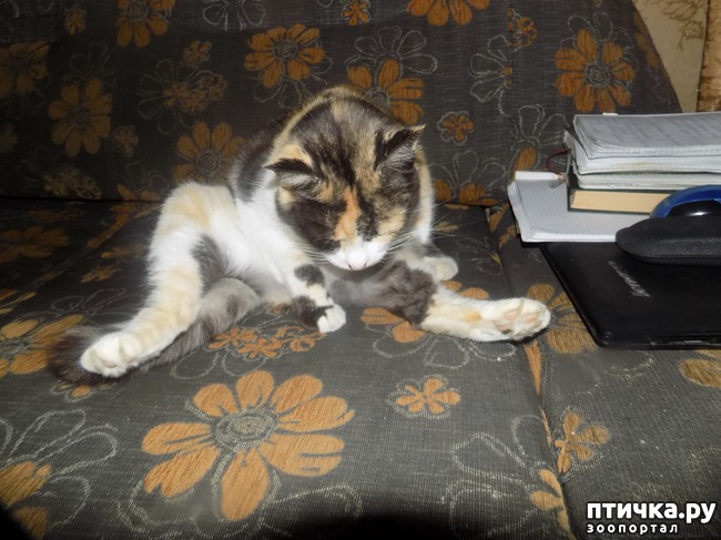 ���� 13: ���� �������