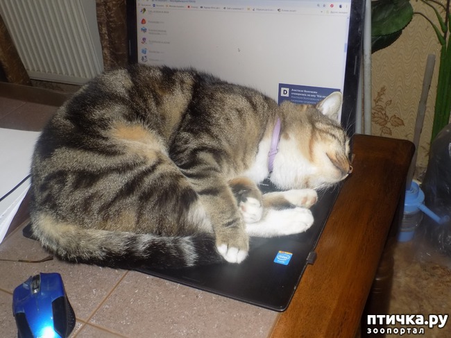 ���� 14: ���� �������