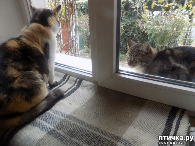 ���� 16: ���� �������