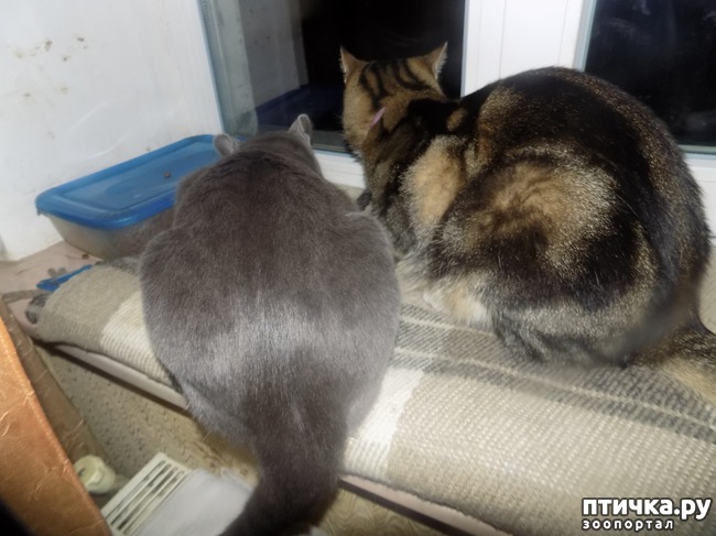 ���� 17: ���� �������