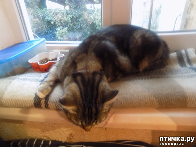 ���� 18: ���� �������