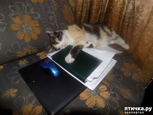 ���� 19: ���� �������