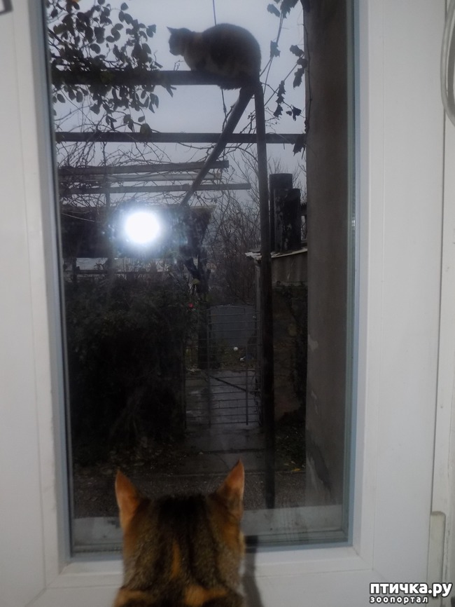 ���� 20: ���� �������