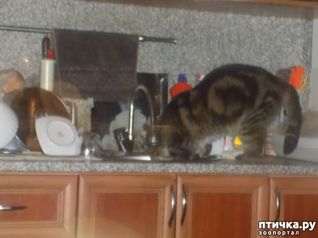 ���� 22: ���� �������