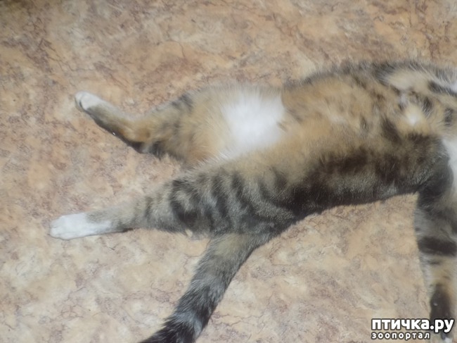 ���� 23: ���� �������