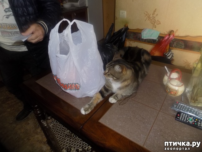 ���� 24: ���� �������