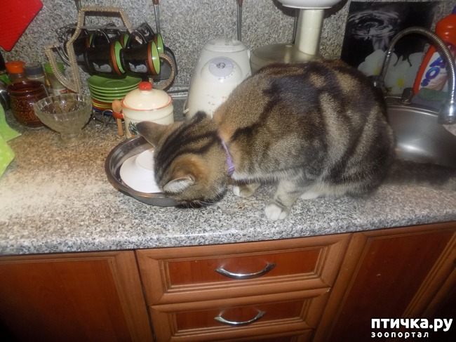 ���� 25: ���� �������