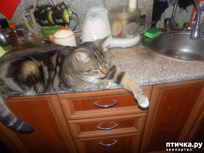 ���� 26: ���� �������