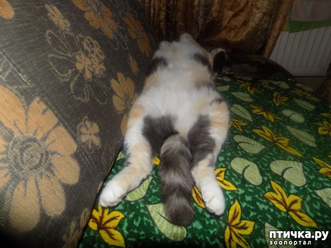 ���� 27: ���� �������