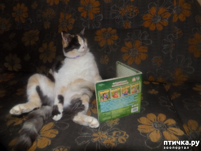 ���� 28: ���� �������