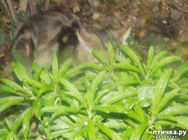 ���� 29: ���� �������