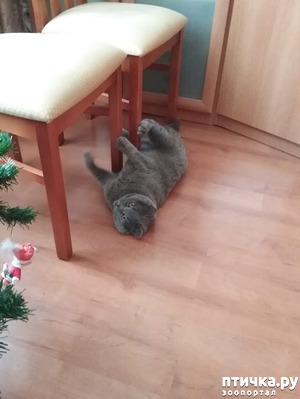 ����: ��������� �������!