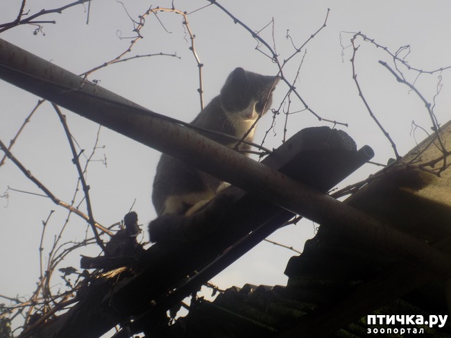 ���� 30: ���� �������