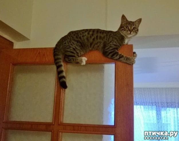 ���� 3: ���� �������