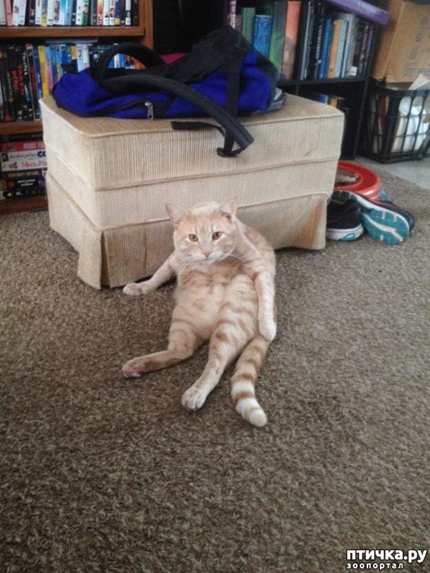 ���� 5: ���� �������