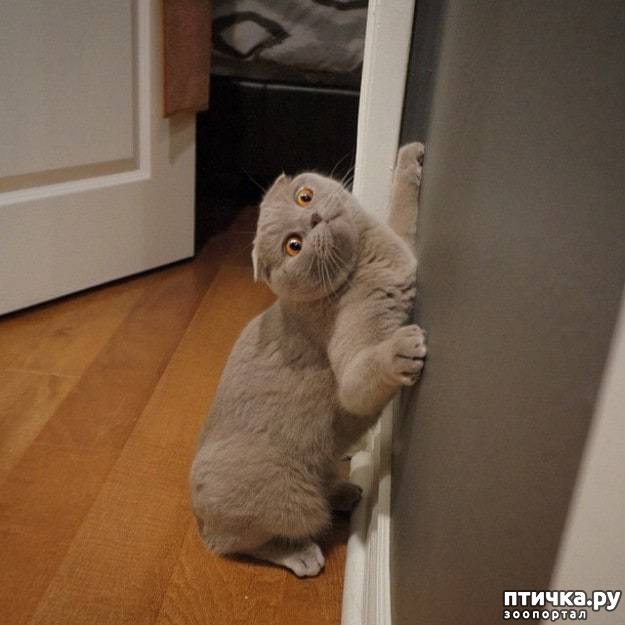 ���� 6: ���� �������