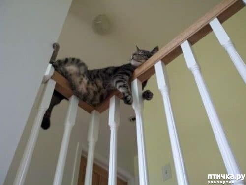 ���� 7: ���� �������