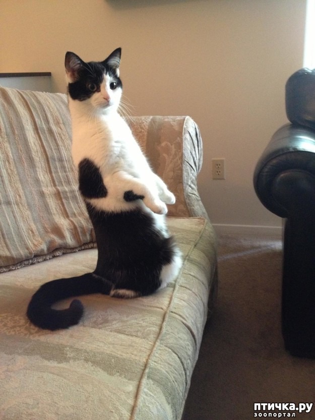 ���� 10: ���� �������