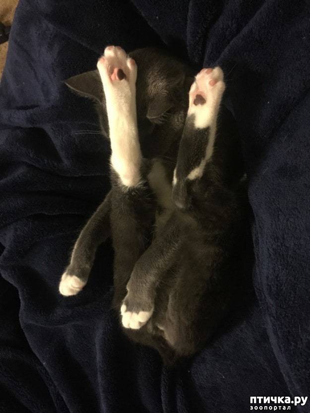 ���� 11: ���� �������