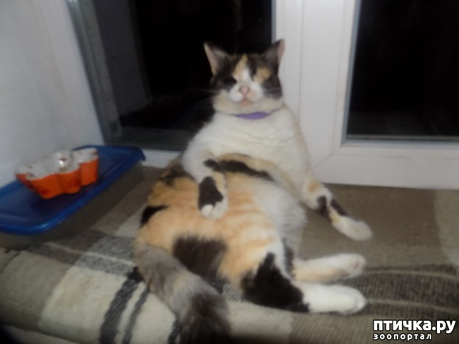 ���� 12: ���� �������