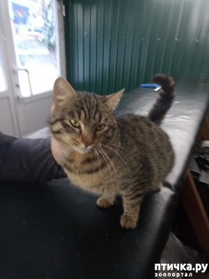 ����: ����� �� ����, ����� �� ������)))