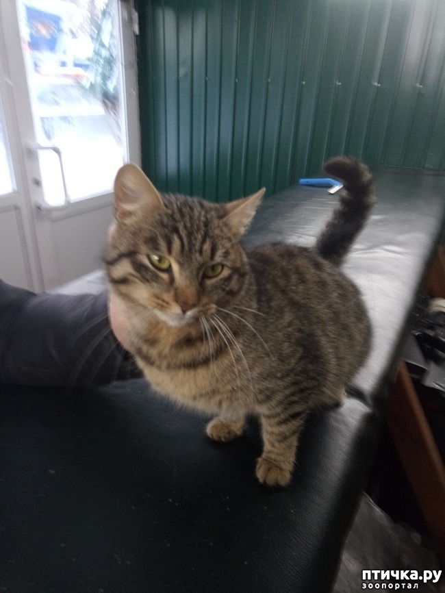 ���� 1: ����� �� ����, ����� �� ������)))