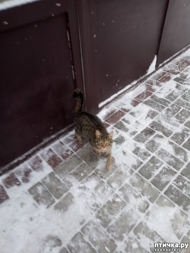 ���� 2: ����� �� ����, ����� �� ������)))