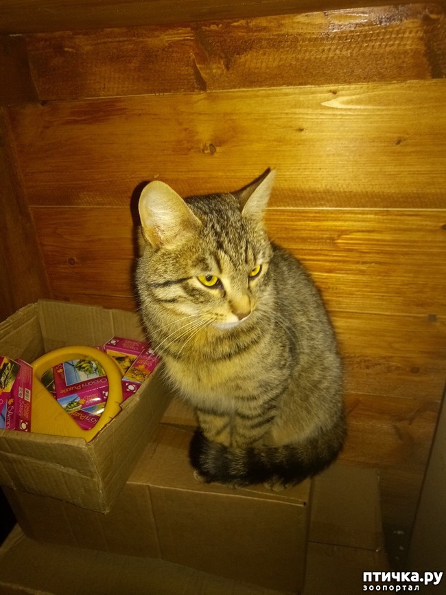 ���� 3: ����� �� ����, ����� �� ������)))