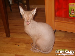 ����: ����� � ����, � ��� � ��� ����? ����� ������.