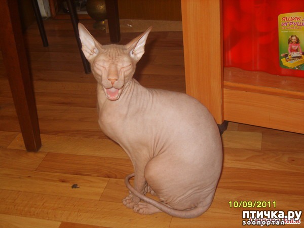 ���� 1: ����� � ����, � ��� � ��� ����? ����� ������.