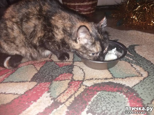 ���� 1: �����. ������ ���� ����