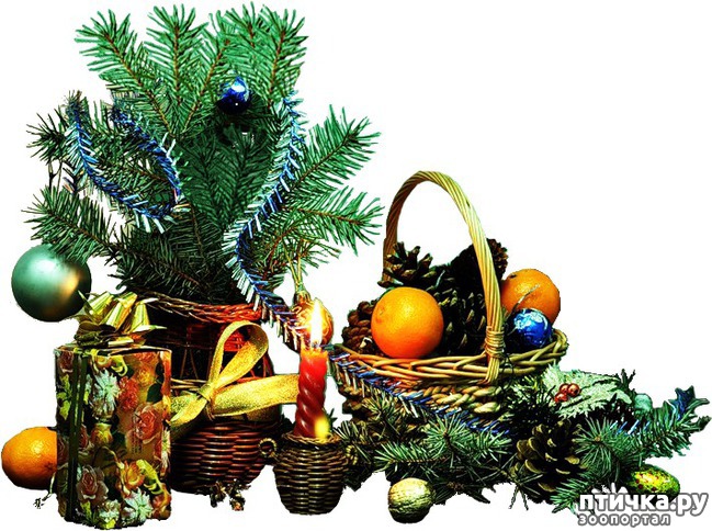 ���� 14: � ����������� ���, ������� ��� ������!