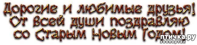 ���� 2: � ����������� ���, ������� ��� ������!