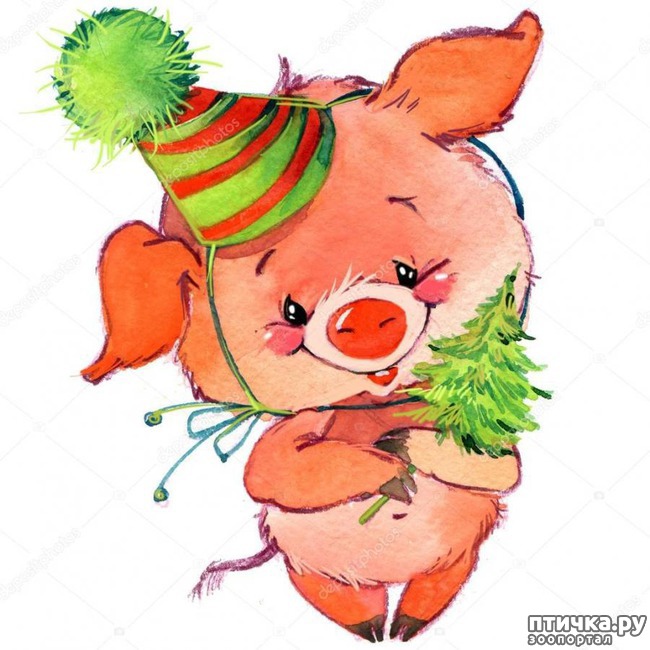 ���� 5: � ����������� ���, ������� ��� ������!