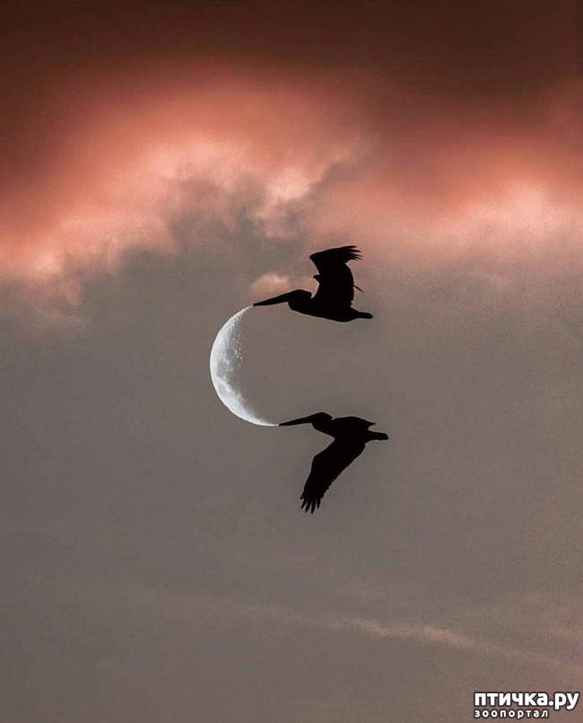 ���� 1: ������� ����