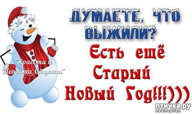 ���� 7: � ����������� ���, ������� ��� ������!