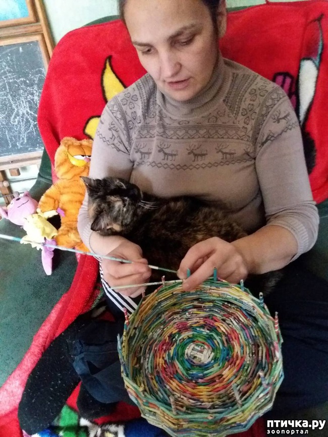 ���� 1: ��������� ������ �� �����